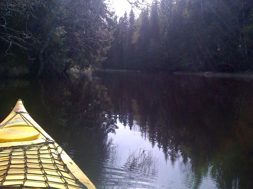 Holmset Camping And Fishing Namdalseid Kültér fotó
