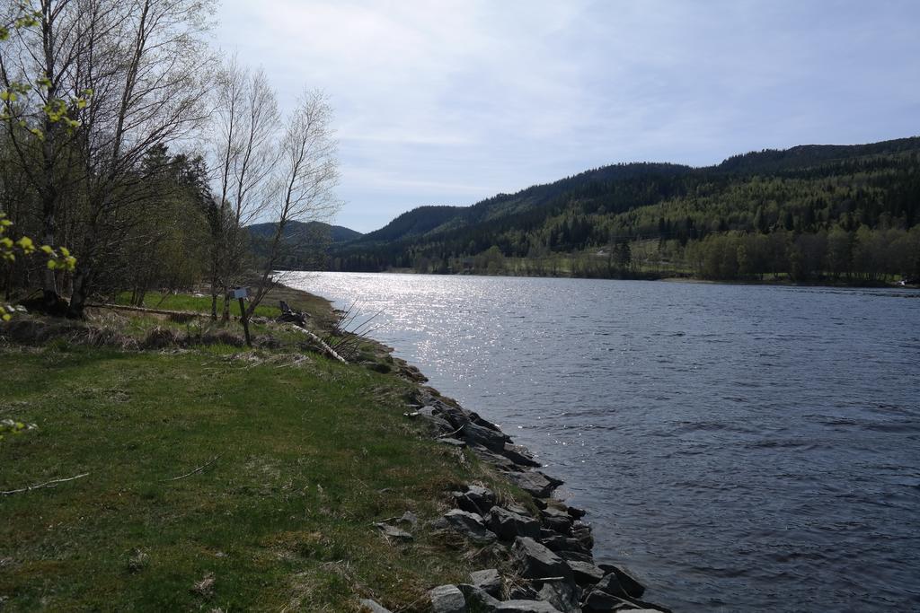 Holmset Camping And Fishing Namdalseid Kültér fotó