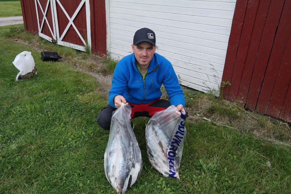 Holmset Camping And Fishing Namdalseid Kültér fotó