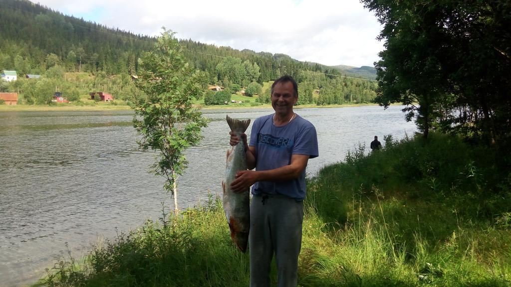 Holmset Camping And Fishing Namdalseid Kültér fotó
